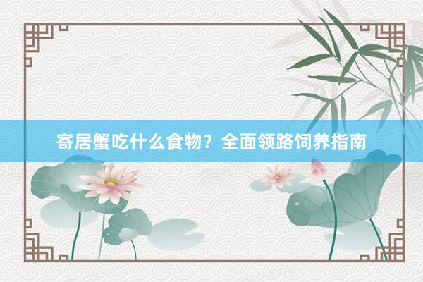 寄居蟹吃什么食物？全面领路饲养指南